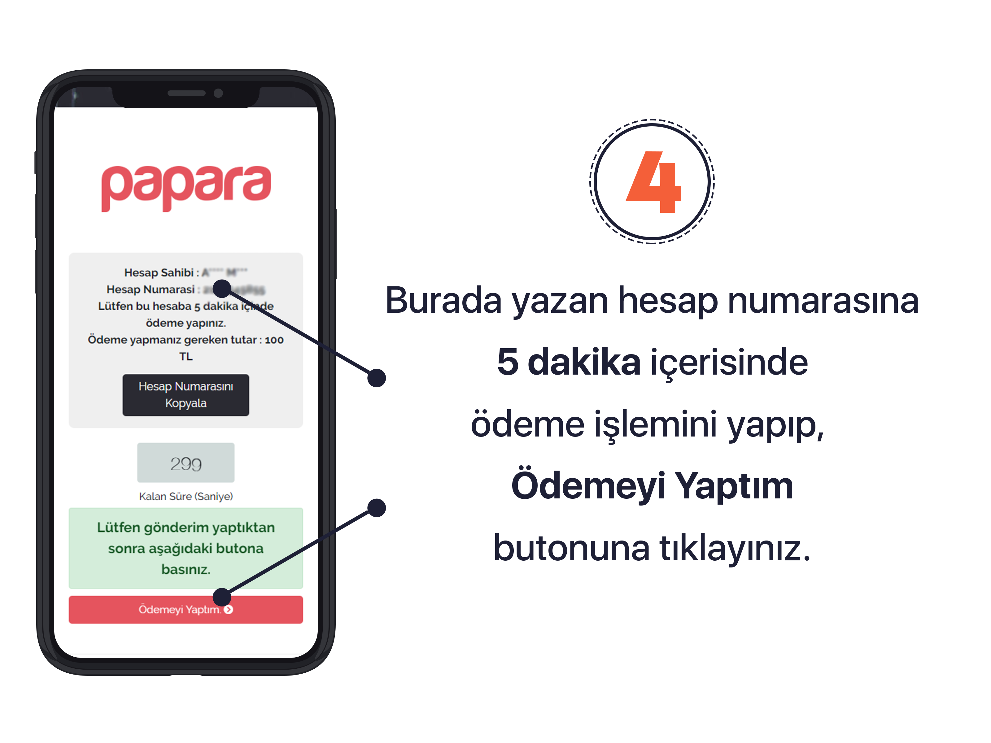 Papara-4.png