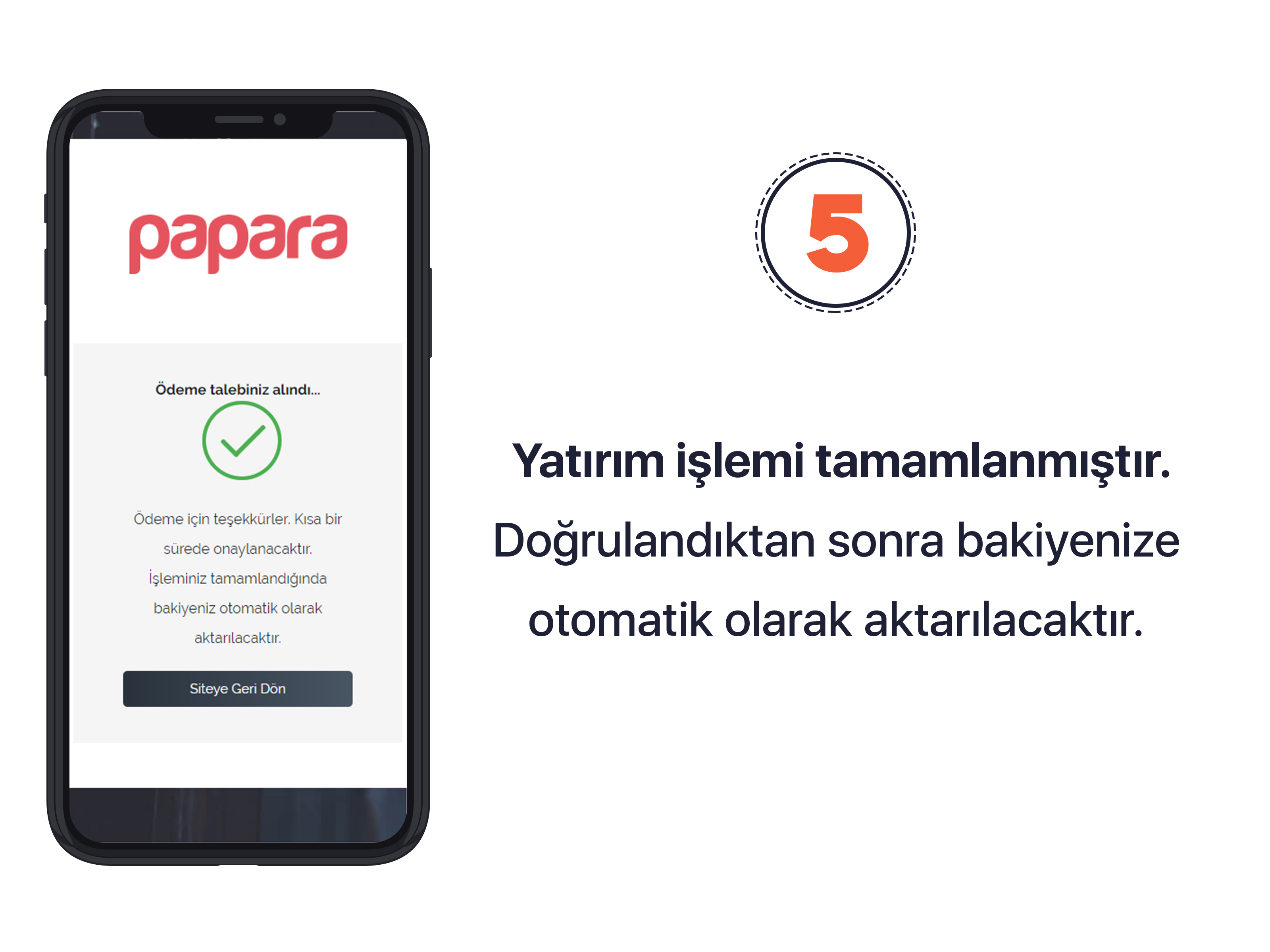 Papara-5.png