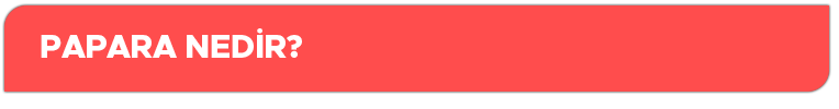 Papara-nedir.png